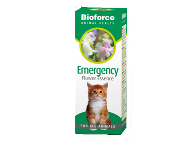Emergency Essence Pet