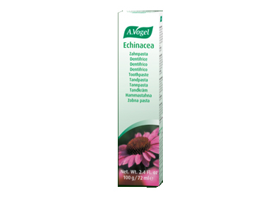 Echinacea Toothpaste