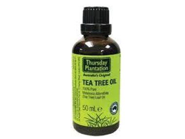 Tea Tree Oil 50ml